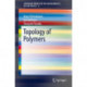 Topology of Polymers