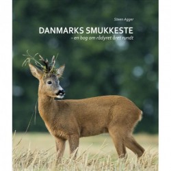 Danmarks smukkeste: en bog om rådyret året rundt