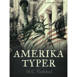 Amerika-typer