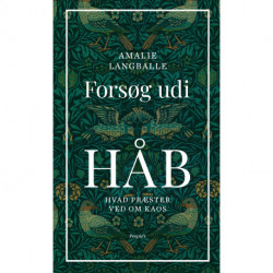 Forsøg udi håb: Hvad præster ved om kaos