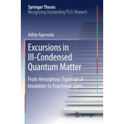 Excursions in Ill-Condensed Quantum Matter: From Amorphous Topological Insulators to Fractional Spins