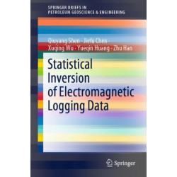Statistical Inversion of Electromagnetic Logging Data
