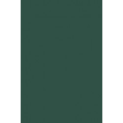 Shark Infested Waters: Procedural Due Process in Constitutional Immigration Law: Immigration and the Constitution