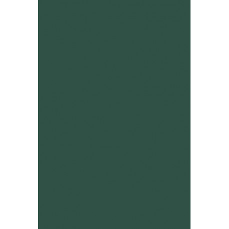 Shark Infested Waters: Procedural Due Process in Constitutional Immigration Law: Immigration and the Constitution