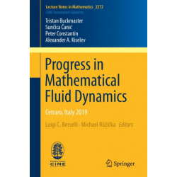 Progress in Mathematical Fluid Dynamics: Cetraro, Italy 2019