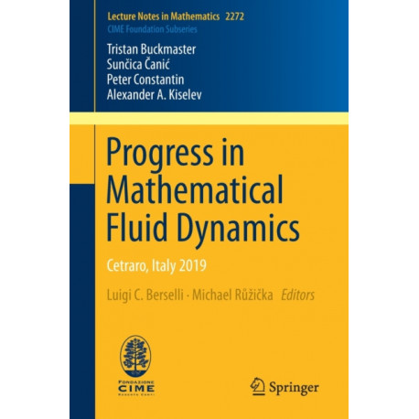 Progress in Mathematical Fluid Dynamics: Cetraro, Italy 2019