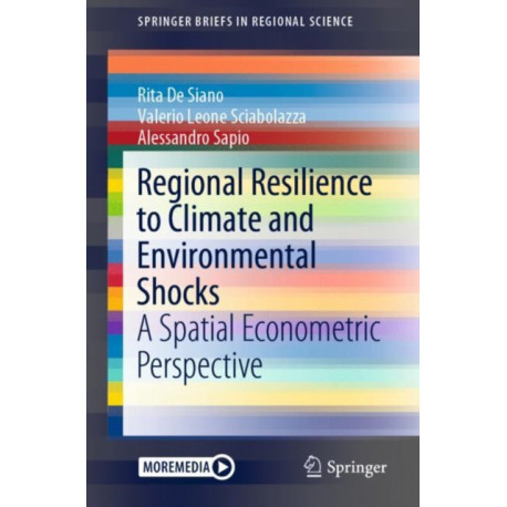 Regional Resilience to Climate and Environmental Shocks: A Spatial Econometric Perspective