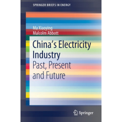 China’s Electricity Industry: Past, Present and Future