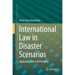 International Law in Disaster Scenarios: Applicable Rules and Principles