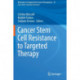 Cancer Stem Cell Resistance to Targeted Therapy