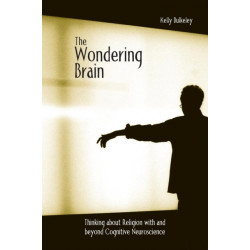 The Wondering Brain: Thinking about Religion With and Beyond Cognitive Neuroscience