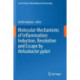 Molecular Mechanisms of Inflammation: Induction, Resolution and Escape by Helicobacter pylori
