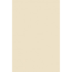 Rethinking Japan's Identity and International Role: Tradition and Change in Japan's Foreign Policy