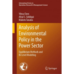 Analysis of Environmental Policy in the Power Sector: Equilibrium Methods and Bi-Level Modeling