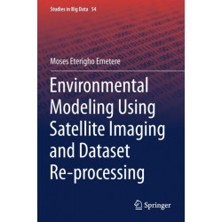 Environmental Modeling Using Satellite Imaging and Dataset Re-processing
