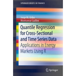 Quantile Regression for Cross-Sectional and Time Series Data: Applications in Energy Markets Using R