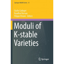 Moduli of K-stable Varieties
