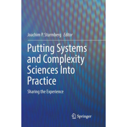 Putting Systems and Complexity Sciences Into Practice: Sharing the Experience