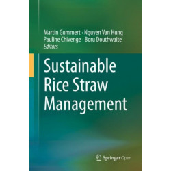 Sustainable Rice Straw Management