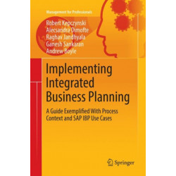 Implementing Integrated Business Planning: A Guide Exemplified With Process Context and SAP IBP Use Cases
