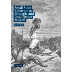 Small State Behavior in Strategic and Intelligence Studies: David’s Sling