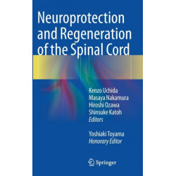 Neuroprotection and Regeneration of the Spinal Cord