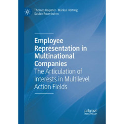 Employee Representation in Multinational Companies: The Articulation of Interests in Multilevel Action Fields