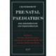 A Handbook of Pre-Natal Paediatrics for Obstetricians and Pediatricians