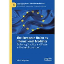 The European Union as International Mediator: Brokering Stability and Peace in the Neighbourhood
