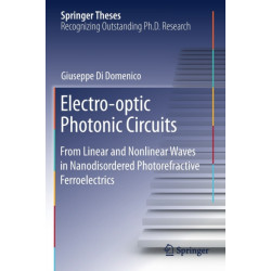 Electro-optic Photonic Circuits: From Linear and Nonlinear Waves in Nanodisordered Photorefractive Ferroelectrics