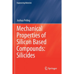 Mechanical Properties of Silicon Based Compounds: Silicides