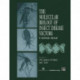 The Molecular Biology of Insect Disease Vectors: A Methods Manual