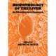 Biopathology of the Liver: An Ultrastructural Approach