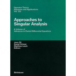 Approaches to Singular Analysis: A Volume of Advances in Partial Differential Equations