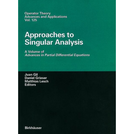 Approaches to Singular Analysis: A Volume of Advances in Partial Differential Equations