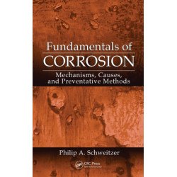 Fundamentals of Corrosion: Mechanisms, Causes, and Preventative Methods