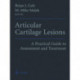 Articular Cartilage Lesions: A Practical Guide to Assessment and Treatment