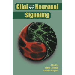 Glial ? Neuronal Signaling