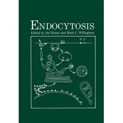 Endocytosis