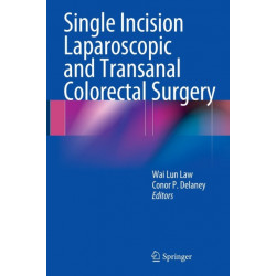 Single Incision Laparoscopic and Transanal Colorectal Surgery