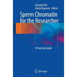 Sperm Chromatin for the Researcher: A Practical Guide
