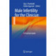 Male Infertility for the Clinician: A Practical Guide