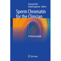 Sperm Chromatin for the Clinician: A Practical Guide
