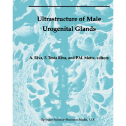 Ultrastructure of the Male Urogenital Glands: Prostate, Seminal Vesicles, Urethral, and Bulbourethral Glands