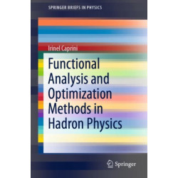 Functional Analysis and Optimization Methods in Hadron Physics