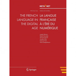 The French Language in the Digital Age