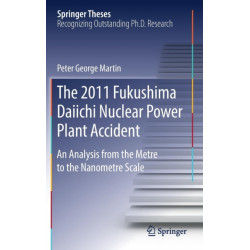 The 2011 Fukushima Daiichi Nuclear Power Plant Accident: An Analysis from the Metre to the Nanometre Scale