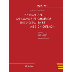 The Irish Language in the Digital Age