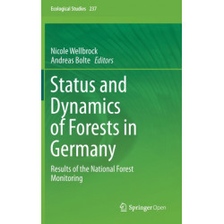 Status and Dynamics of Forests in Germany: Results of the National Forest Monitoring