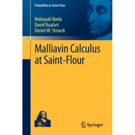 Malliavin Calculus at Saint-Flour